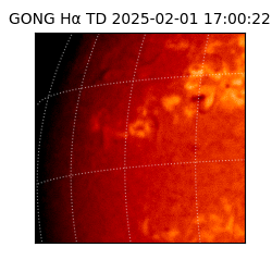 gong - 2025-02-01T17:00:22