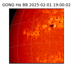 gong - 2025-02-01T19:00:02