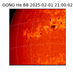 gong - 2025-02-01T21:00:02