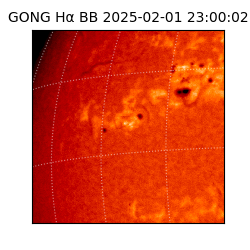 gong - 2025-02-01T23:00:02