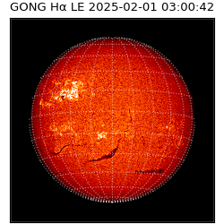 gong - 2025-02-01T03:00:42