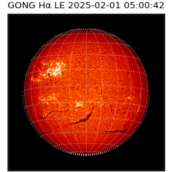 gong - 2025-02-01T05:00:42
