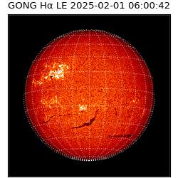 gong - 2025-02-01T06:00:42
