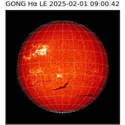 gong - 2025-02-01T09:00:42
