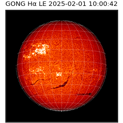 gong - 2025-02-01T10:00:42
