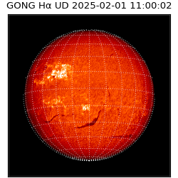 gong - 2025-02-01T11:00:02