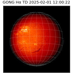 gong - 2025-02-01T12:00:22