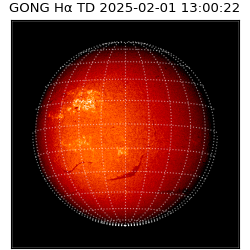 gong - 2025-02-01T13:00:22