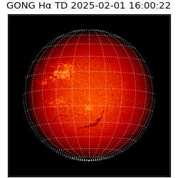 gong - 2025-02-01T16:00:22