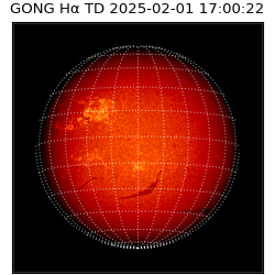 gong - 2025-02-01T17:00:22