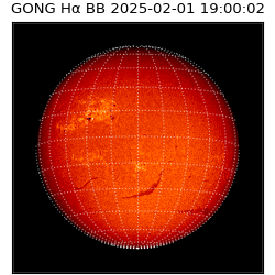 gong - 2025-02-01T19:00:02