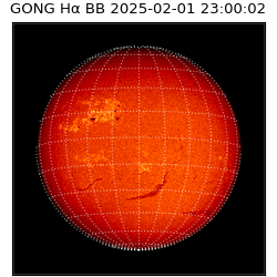 gong - 2025-02-01T23:00:02