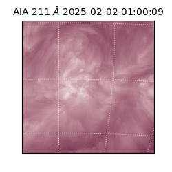 saia - 2025-02-02T01:00:09.630000