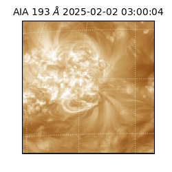 saia - 2025-02-02T03:00:04.843000