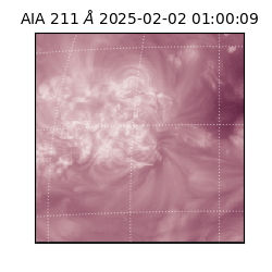 saia - 2025-02-02T01:00:09.630000