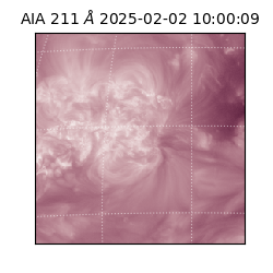 saia - 2025-02-02T10:00:09.630000