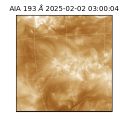 saia - 2025-02-02T03:00:04.843000