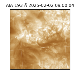 saia - 2025-02-02T09:00:04.843000