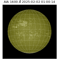 saia - 2025-02-02T01:00:14.129000