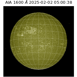 saia - 2025-02-02T05:00:38.133000