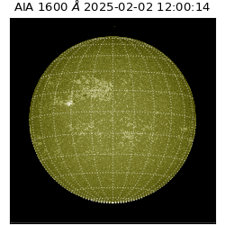 saia - 2025-02-02T12:00:14.126000