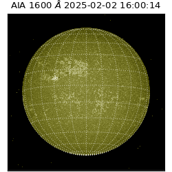 saia - 2025-02-02T16:00:14.125000