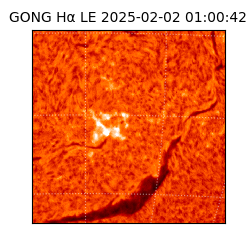 gong - 2025-02-02T01:00:42