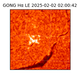 gong - 2025-02-02T02:00:42