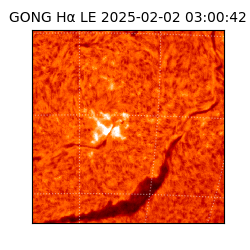 gong - 2025-02-02T03:00:42