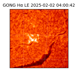 gong - 2025-02-02T04:00:42