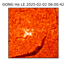 gong - 2025-02-02T06:00:42