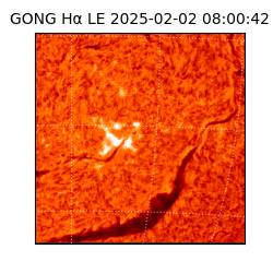 gong - 2025-02-02T08:00:42