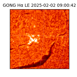 gong - 2025-02-02T09:00:42