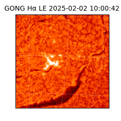 gong - 2025-02-02T10:00:42