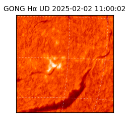 gong - 2025-02-02T11:00:02