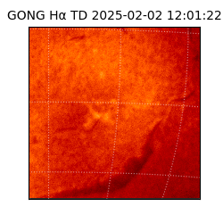gong - 2025-02-02T12:01:22