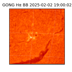 gong - 2025-02-02T19:00:02