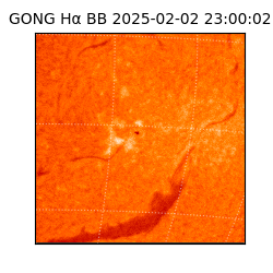 gong - 2025-02-02T23:00:02