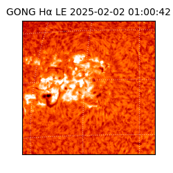 gong - 2025-02-02T01:00:42
