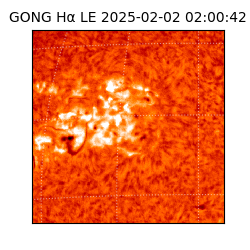 gong - 2025-02-02T02:00:42