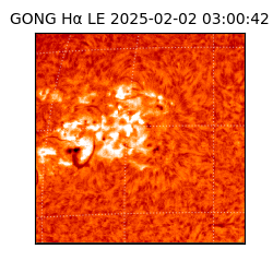 gong - 2025-02-02T03:00:42