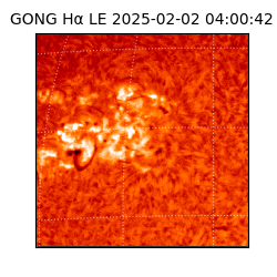 gong - 2025-02-02T04:00:42