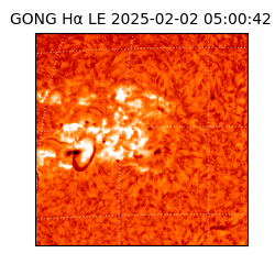 gong - 2025-02-02T05:00:42