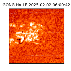 gong - 2025-02-02T06:00:42