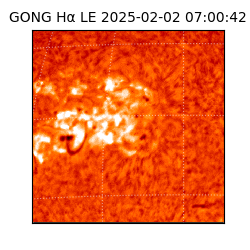 gong - 2025-02-02T07:00:42