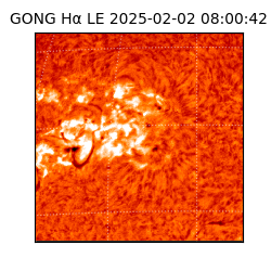 gong - 2025-02-02T08:00:42