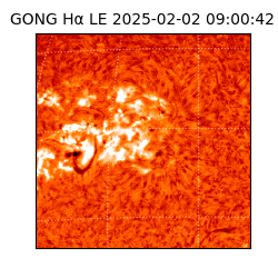 gong - 2025-02-02T09:00:42