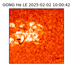 gong - 2025-02-02T10:00:42