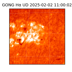 gong - 2025-02-02T11:00:02