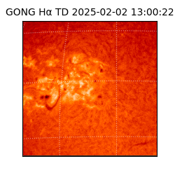 gong - 2025-02-02T13:00:22